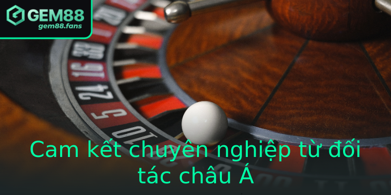 Cam kết chuyên nghiệp từ đối tác châu Á