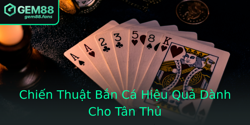 Chiến Thuật Bắn Cá Hiệu Quả Dành Cho Tân Thủ